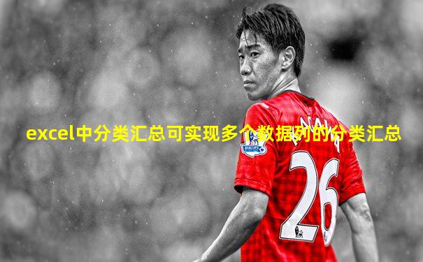 excel中分类汇总可实现多个数据列的分类汇总