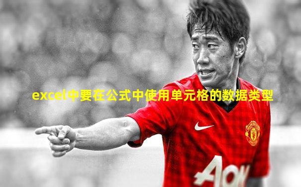 excel中要在公式中使用单元格的数据类型
