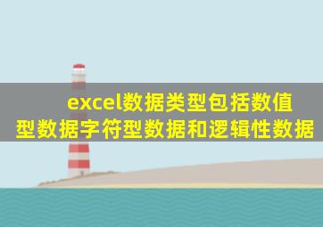 excel数据类型包括数值型数据字符型数据和逻辑性数据