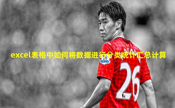 excel表格中如何将数据进行分类统计汇总计算