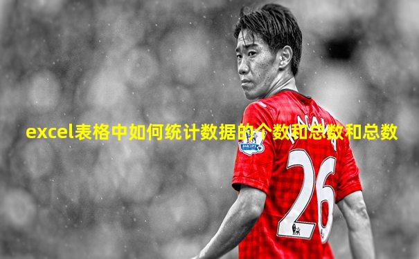 excel表格中如何统计数据的个数和总数和总数