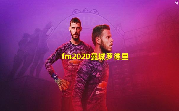 fm2020曼城罗德里