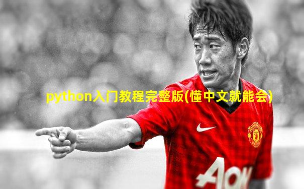 python入门教程完整版(懂中文就能会)