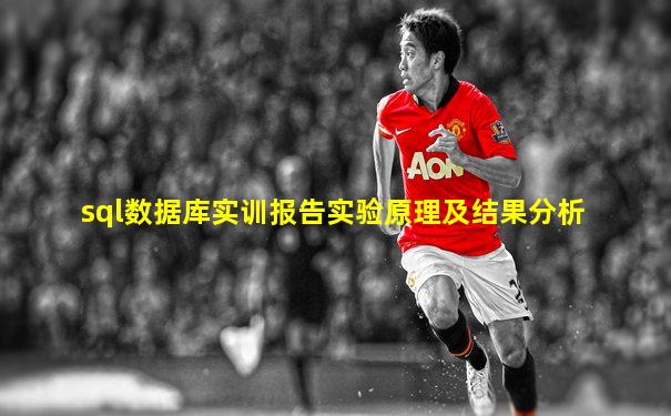 sql数据库实训报告实验原理及结果分析