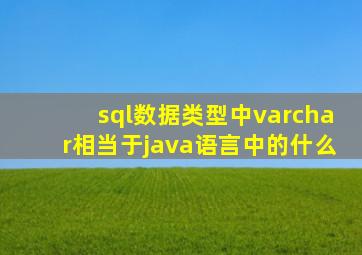 sql数据类型中varchar相当于java语言中的什么