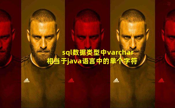 sql数据类型中varchar相当于java语言中的单个字符