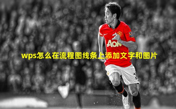 wps怎么在流程图线条上添加文字和图片