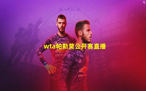 wta帕勒莫公开赛直播