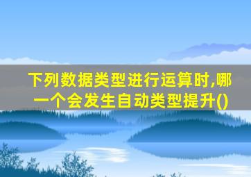 下列数据类型进行运算时,哪一个会发生自动类型提升()