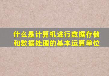 什么是计算机进行数据存储和数据处理的基本运算单位