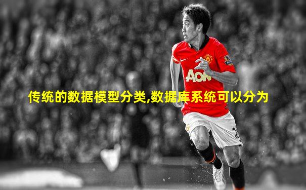 传统的数据模型分类,数据库系统可以分为