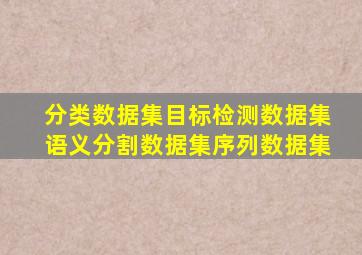 分类数据集目标检测数据集语义分割数据集序列数据集
