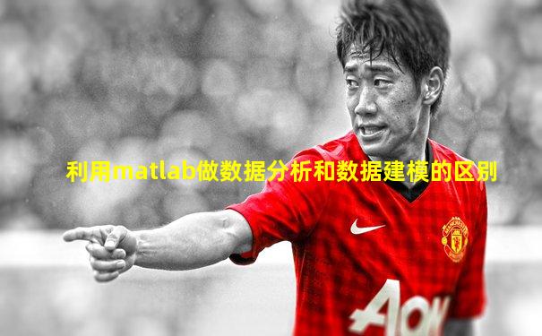 利用matlab做数据分析和数据建模的区别