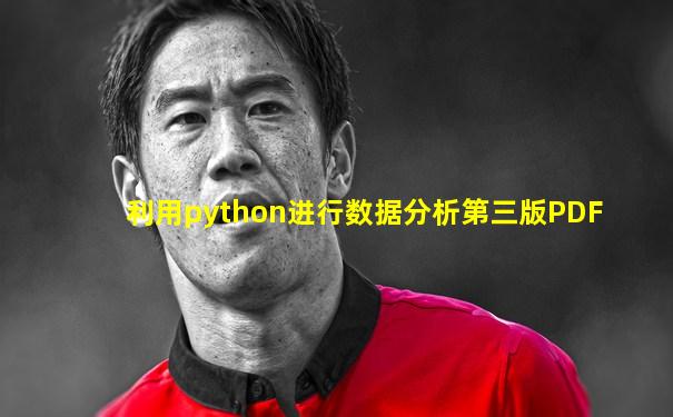 利用python进行数据分析第三版PDF
