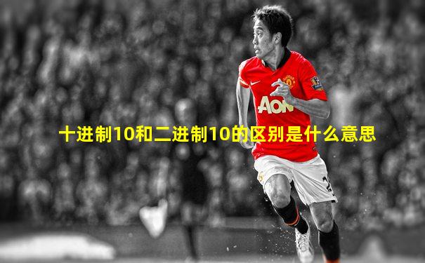十进制10和二进制10的区别是什么意思
