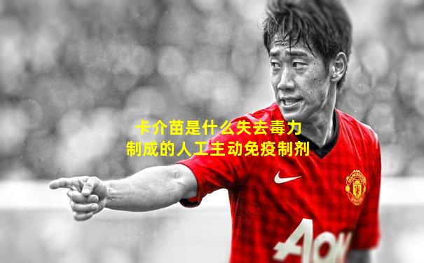 卡介苗是什么失去毒力制成的人工主动免疫制剂