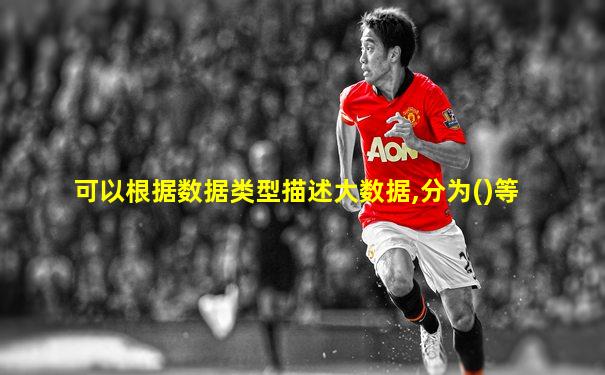 可以根据数据类型描述大数据,分为()等