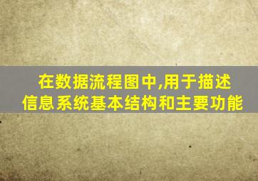 在数据流程图中,用于描述信息系统基本结构和主要功能