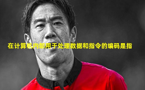 在计算机内部用于处理数据和指令的编码是指