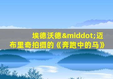 埃德沃德·迈布里奇拍摄的《奔跑中的马》