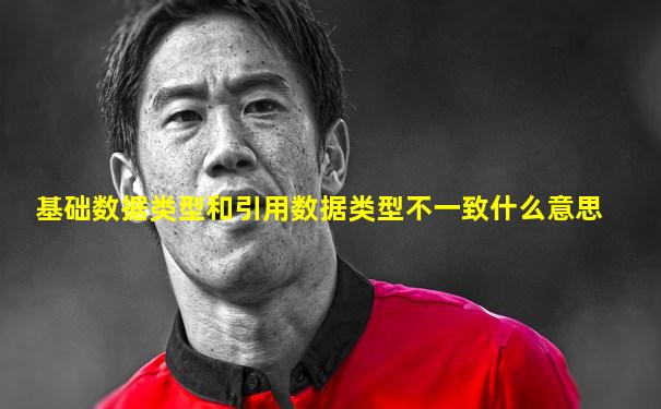 基础数据类型和引用数据类型不一致什么意思