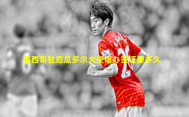 墨西哥驻厄瓜多尔大使馆办签证要多久