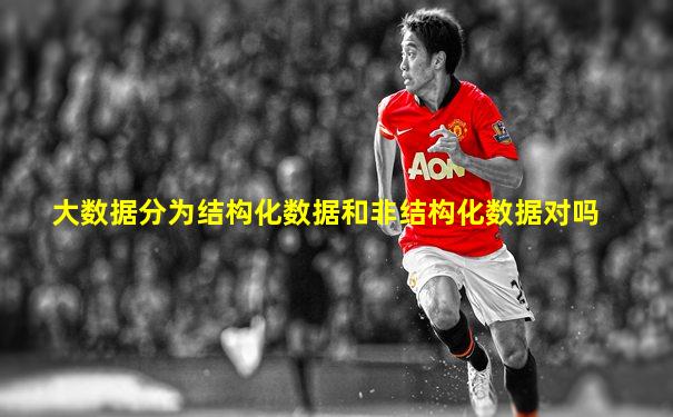 大数据分为结构化数据和非结构化数据对吗