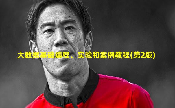大数据基础编程、实验和案例教程(第2版)