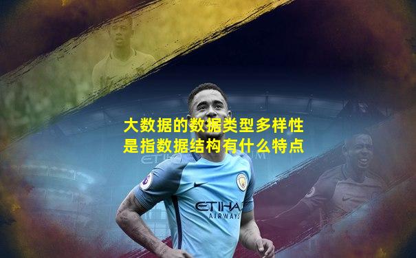 大数据的数据类型多样性是指数据结构有什么特点