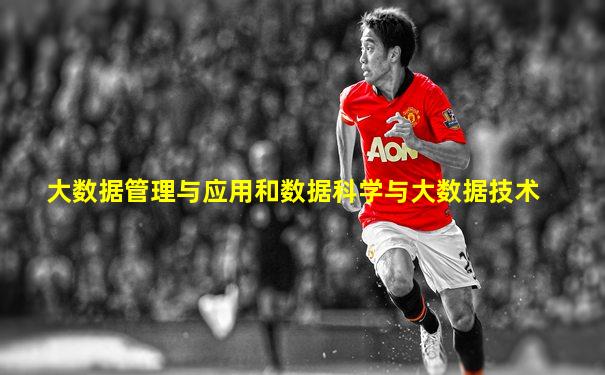 大数据管理与应用和数据科学与大数据技术