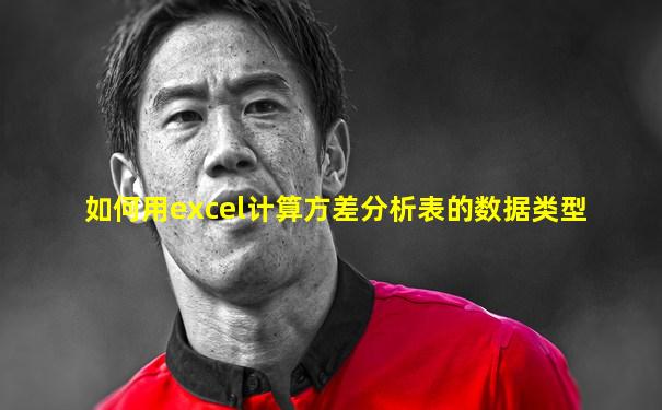 如何用excel计算方差分析表的数据类型