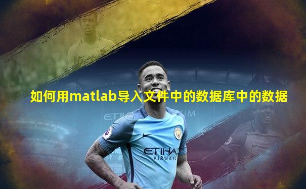 如何用matlab导入文件中的数据库中的数据