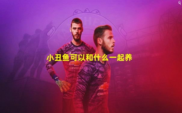 小丑鱼可以和什么一起养