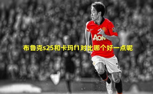 布鲁克s25和卡玛f1对比哪个好一点呢
