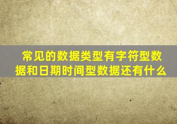 常见的数据类型有字符型数据和日期时间型数据还有什么