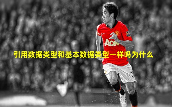 引用数据类型和基本数据类型一样吗为什么
