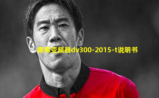 德弗变频器dv300-2015-t说明书