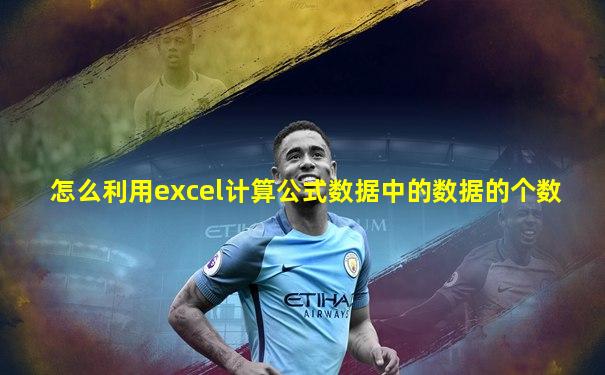 怎么利用excel计算公式数据中的数据的个数