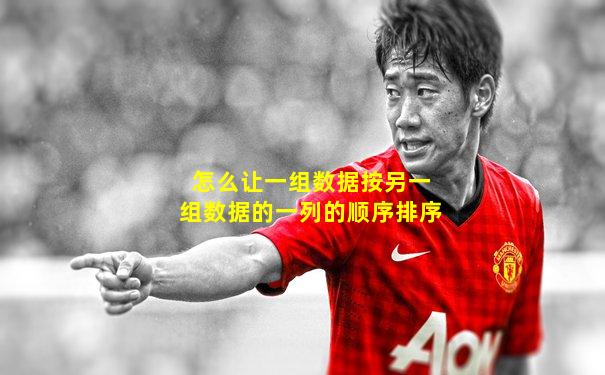怎么让一组数据按另一组数据的一列的顺序排序