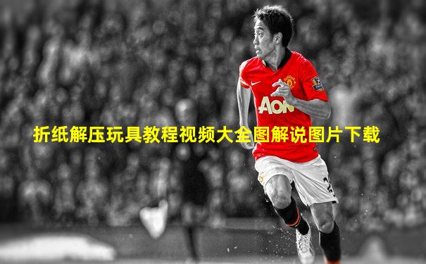 折纸解压玩具教程视频大全图解说图片下载
