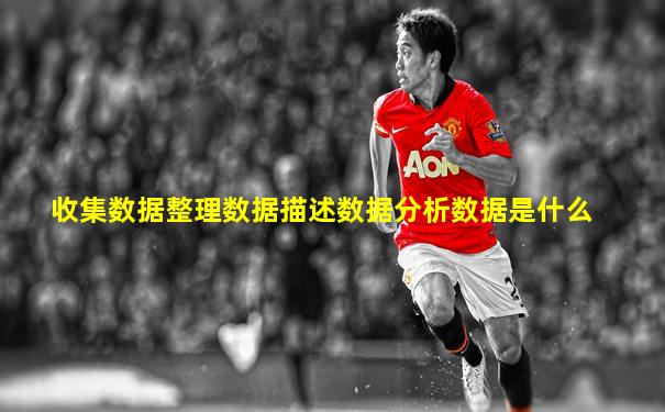 收集数据整理数据描述数据分析数据是什么