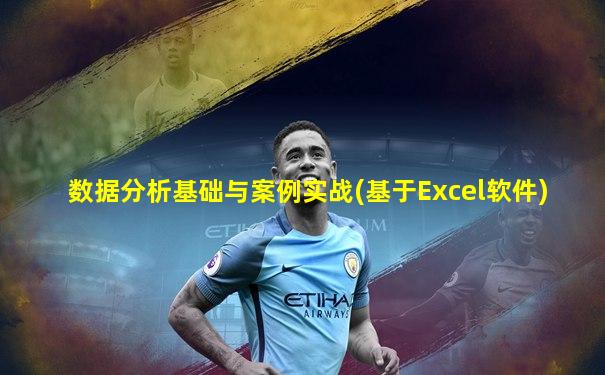 数据分析基础与案例实战(基于Excel软件)