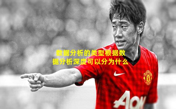 数据分析的类型根据数据分析深度可以分为什么