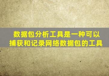 数据包分析工具是一种可以捕获和记录网络数据包的工具