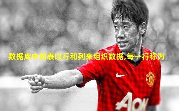 数据库中的表以行和列来组织数据,每一行称为