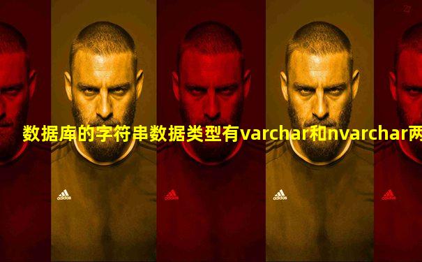 数据库的字符串数据类型有varchar和nvarchar两种