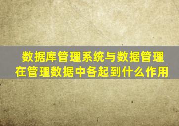 数据库管理系统与数据管理在管理数据中各起到什么作用