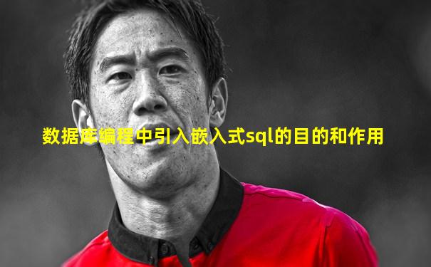 数据库编程中引入嵌入式sql的目的和作用
