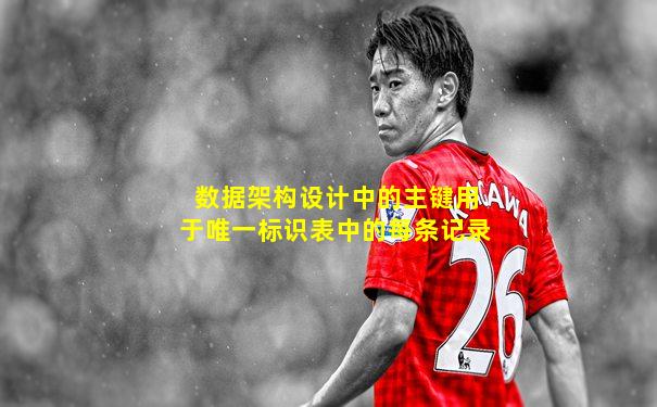 数据架构设计中的主键用于唯一标识表中的每条记录