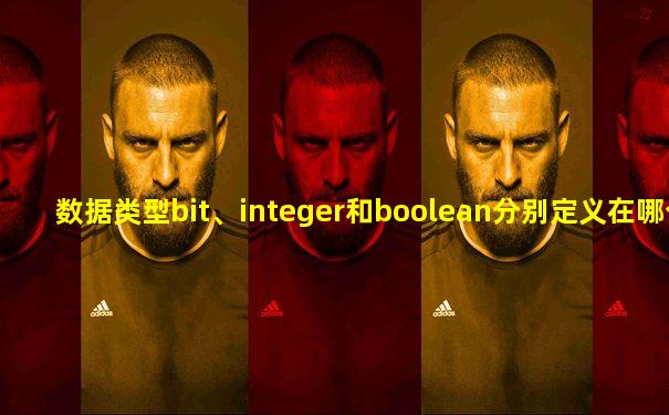 数据类型bit、integer和boolean分别定义在哪个库中